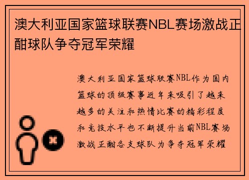 澳大利亚国家篮球联赛NBL赛场激战正酣球队争夺冠军荣耀