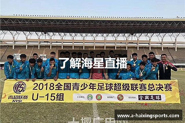 针织牛仔布厂家